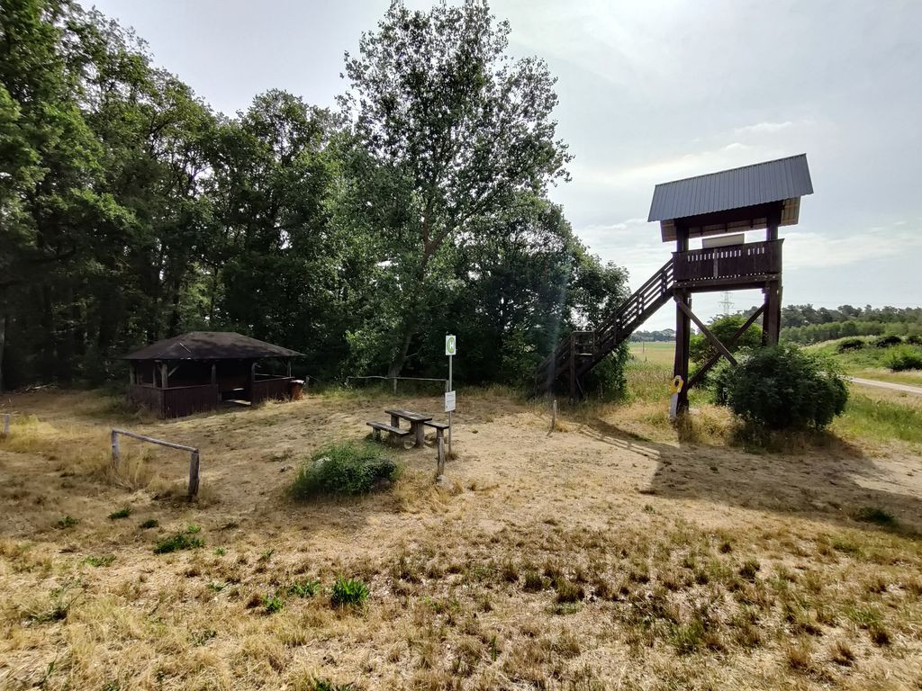 Hütte und Aussichtsturm