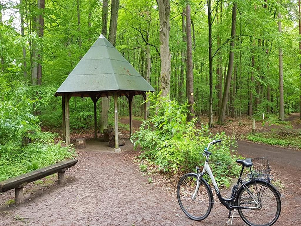 Basic shelter