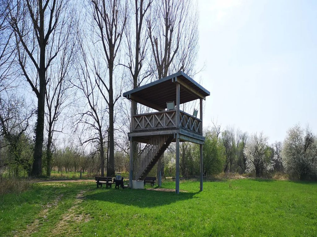 Aussichtsplattform Sandlache