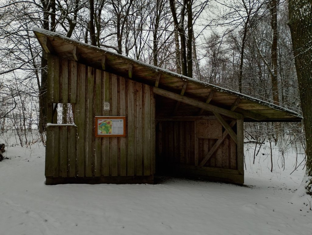 Basic Shelter