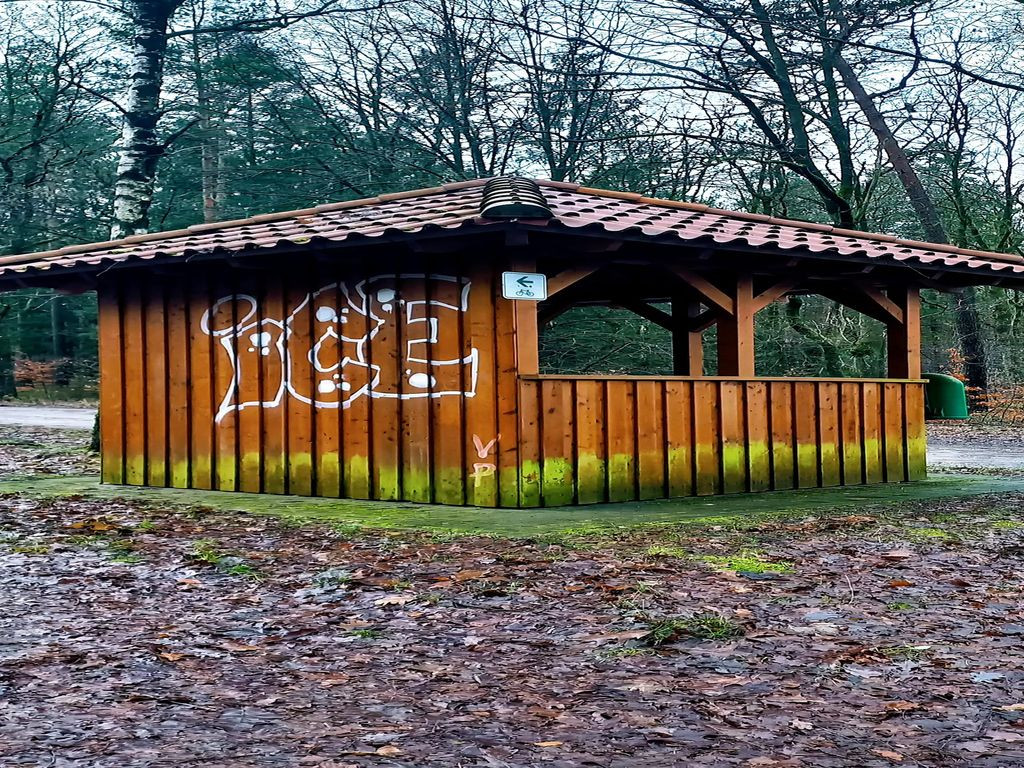 29699 - Schutzhütte
