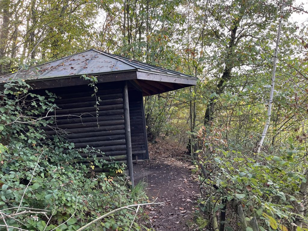 65385 - Wanderhütte Assmannshausen