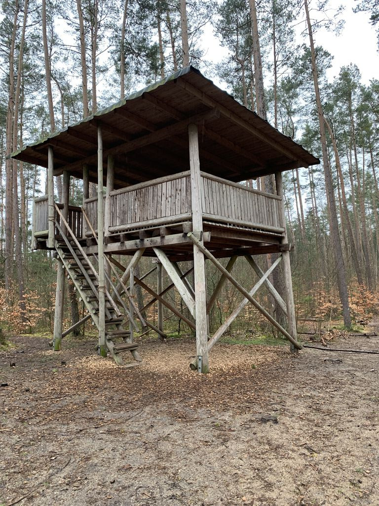 Waldkanzel