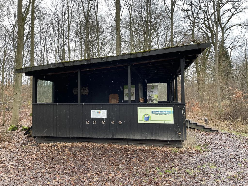 Hütte am Walderlebnispfad