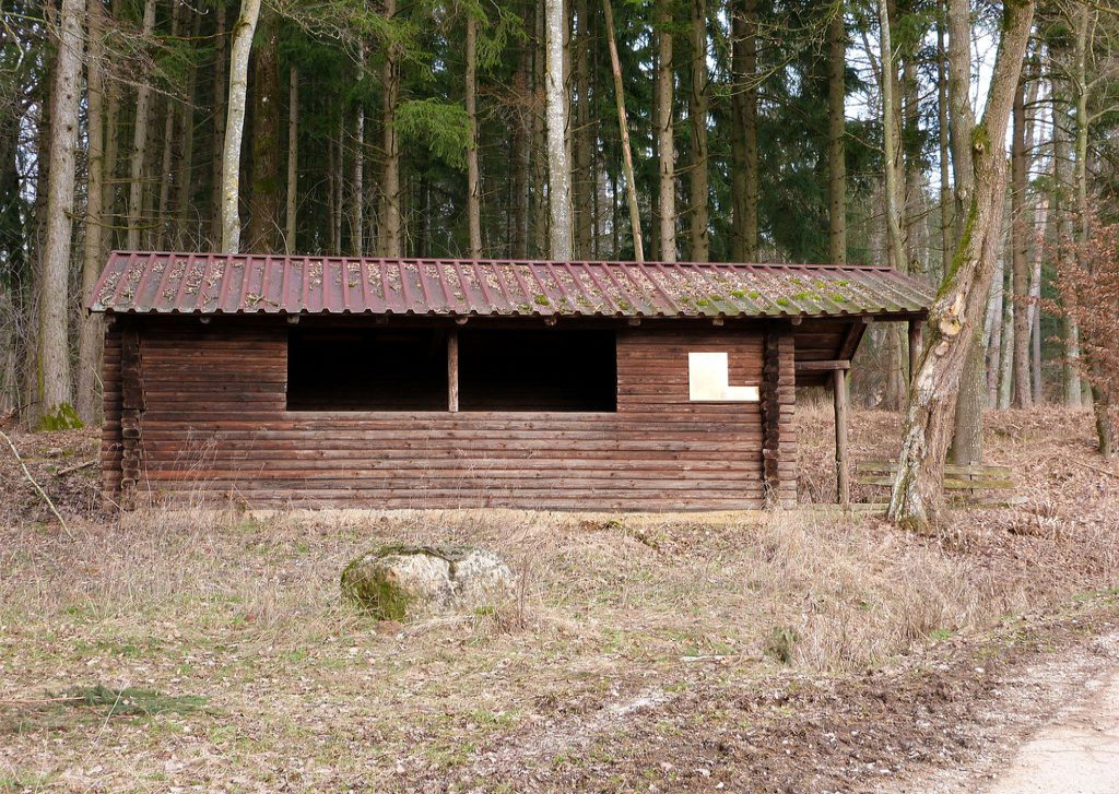 zwischen Hechlinger See und Hüssingen