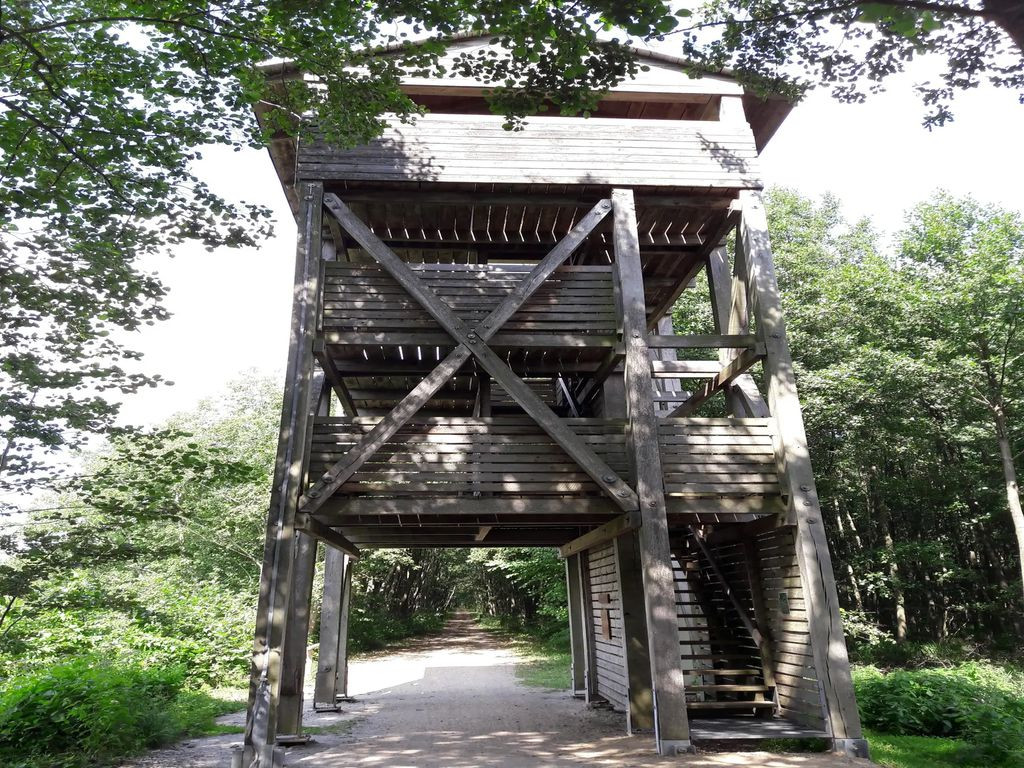 Aussichtsturm Specker See