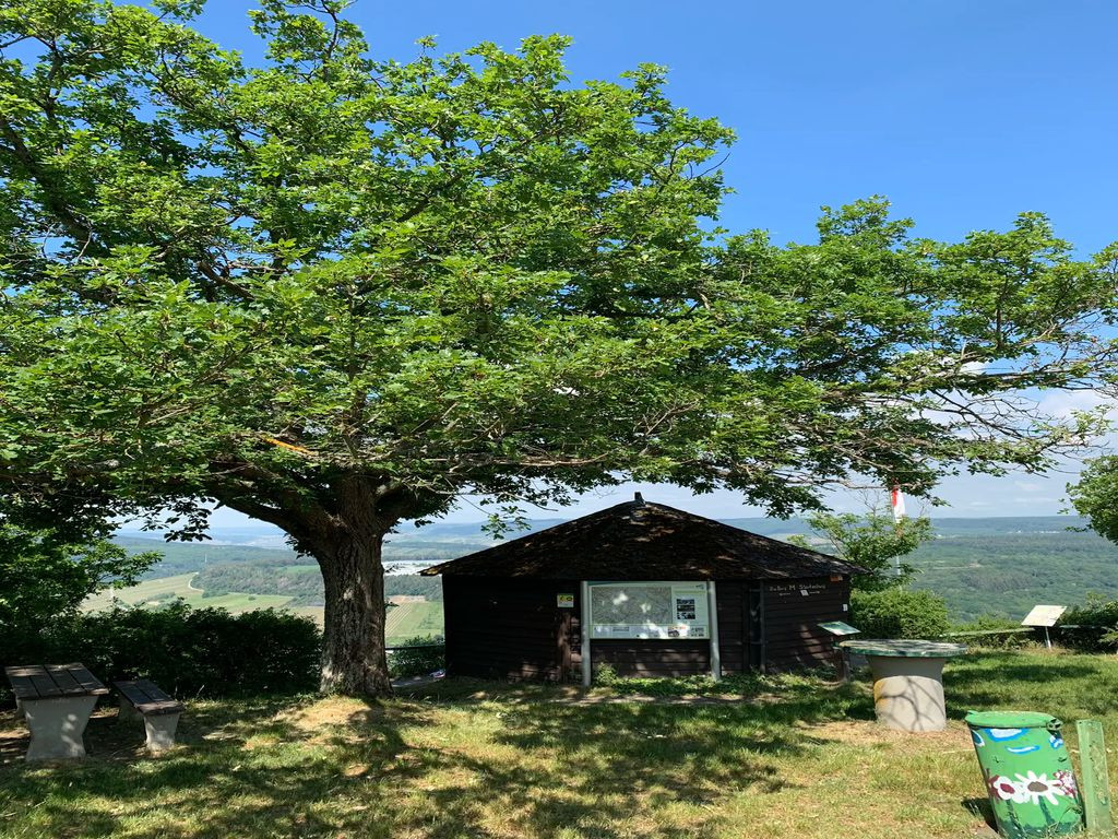 Pavilion