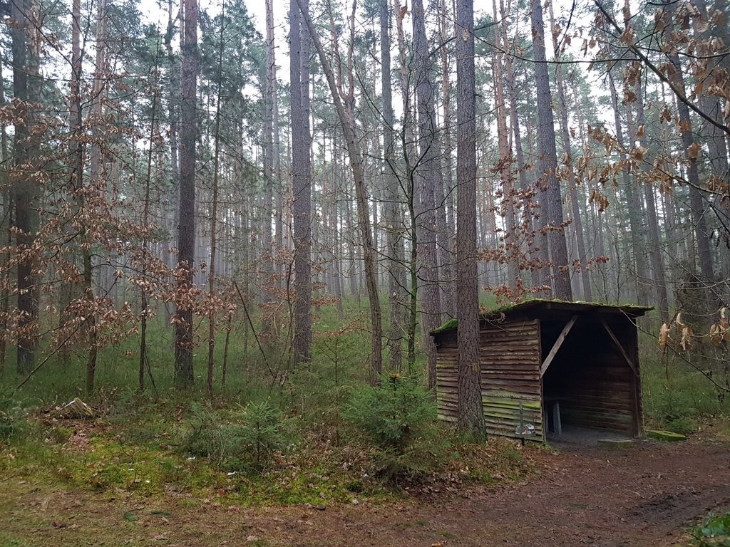Anouks shelter