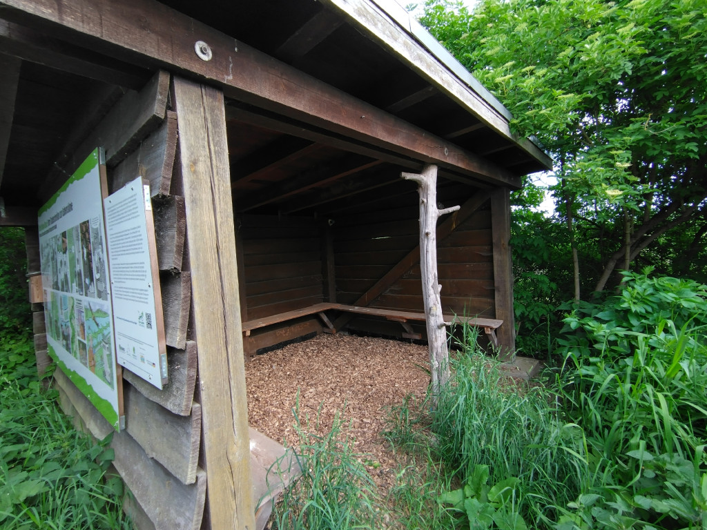 basic shelter
