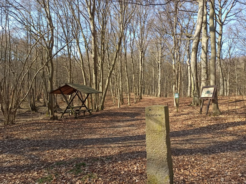 Rastmöglichkeit in der Caselower Heide