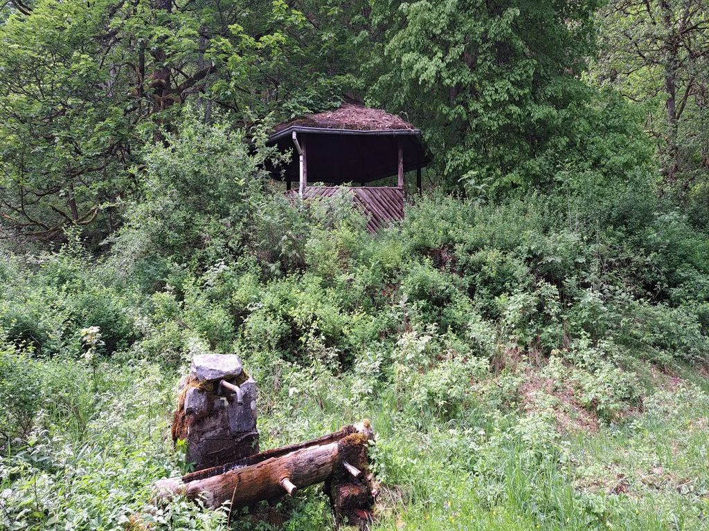 37447 - Pavillon Siebertalhütte