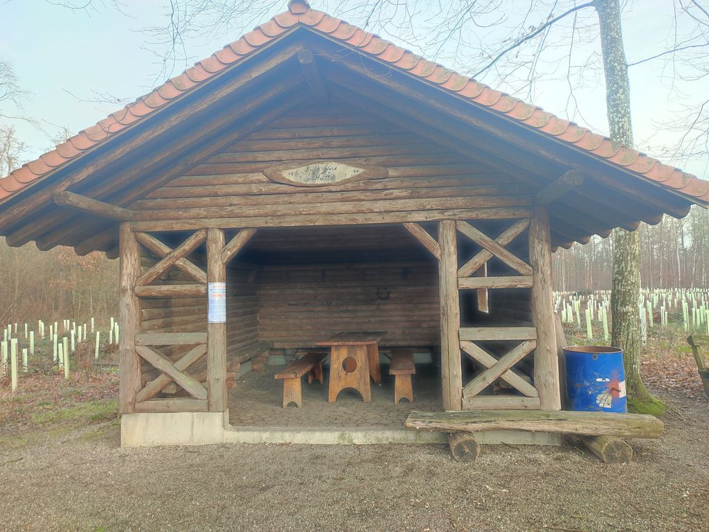 Bruchwald-Hütte