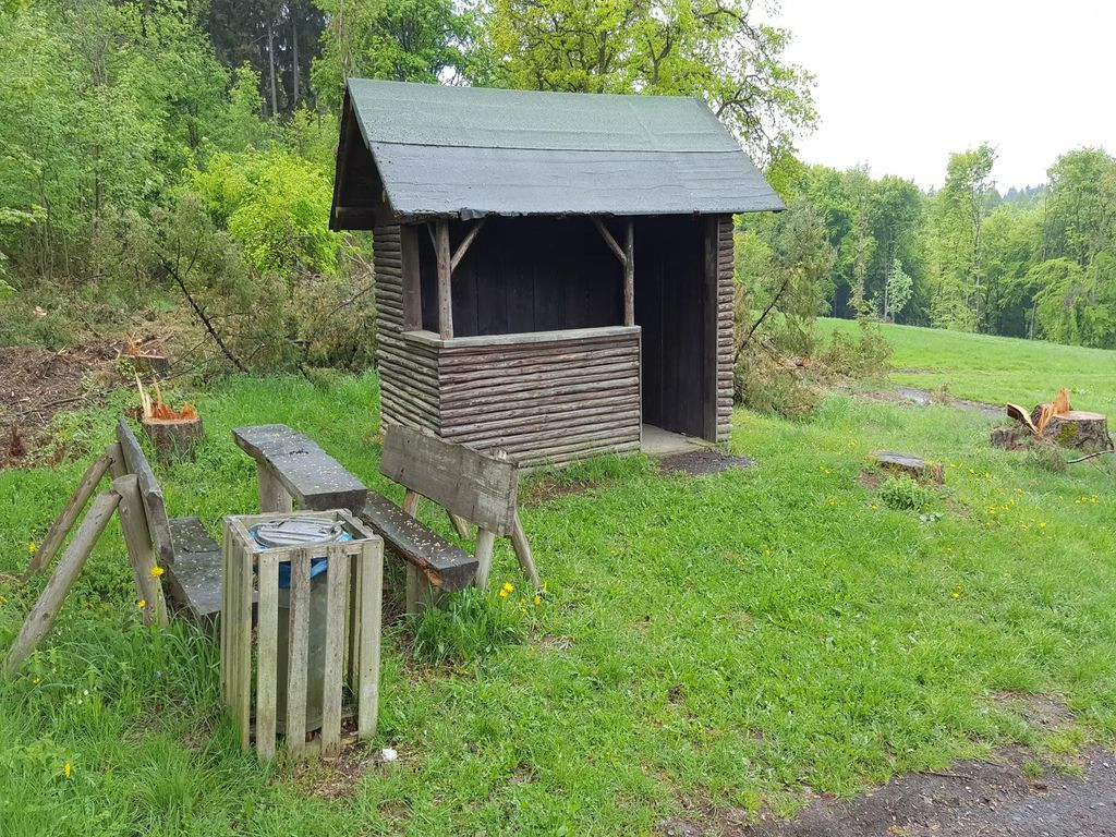 Reinighütte