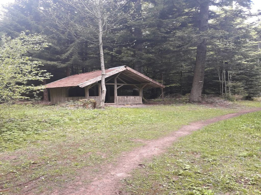 Mühlgassenhütte