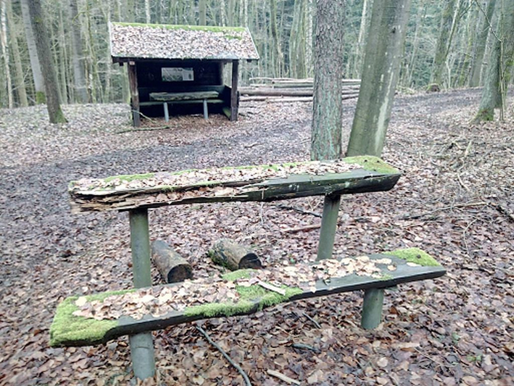 Basic shelter