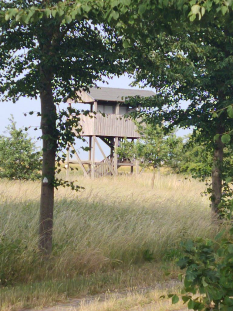 Tower