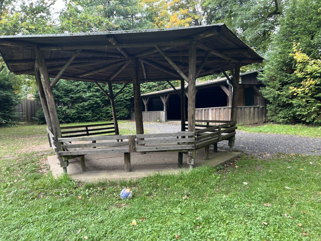 Grillplatz Runder Baum