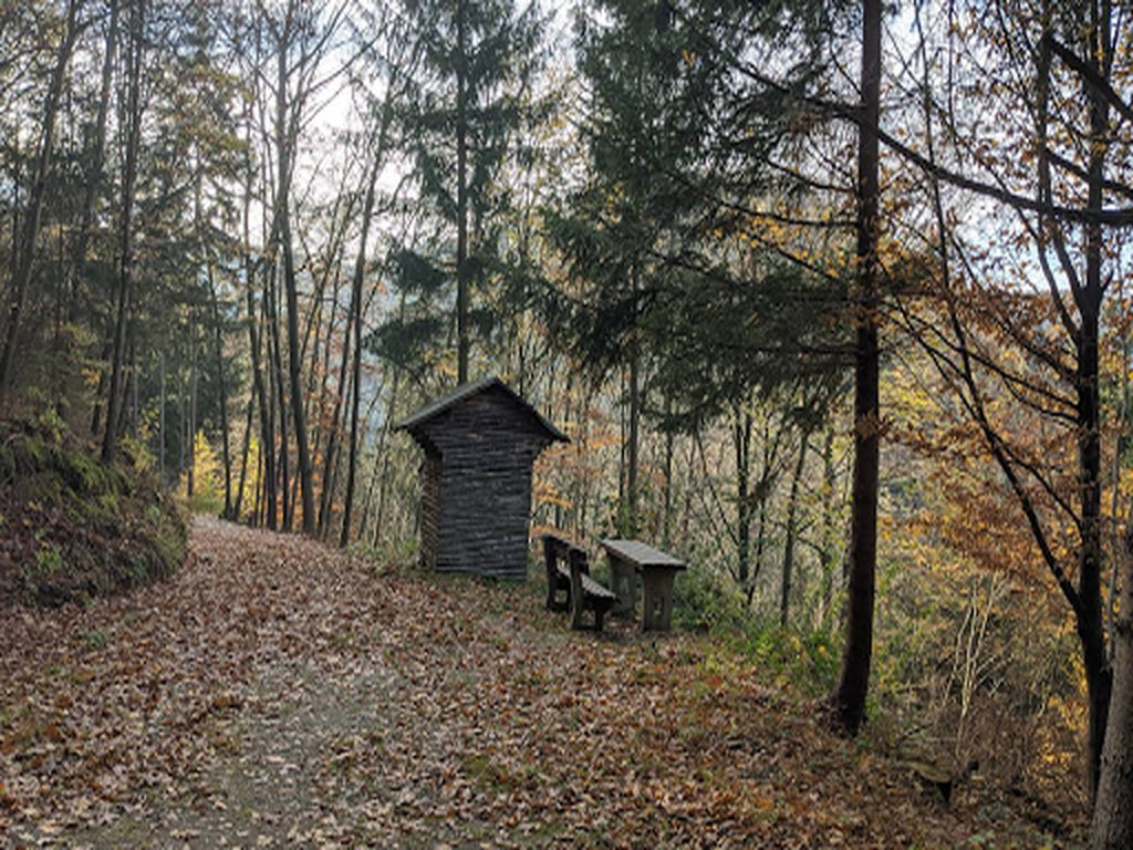 Lean-To Hohenwarteblick