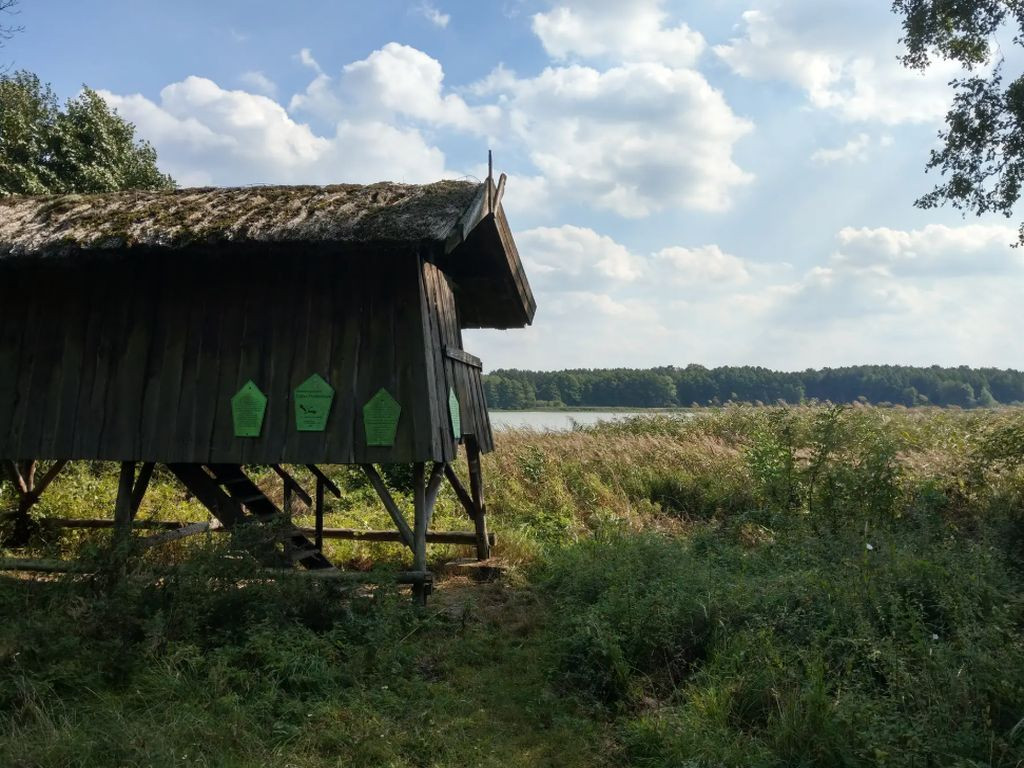 Shelter Beobachtungshütte Neustrelitz