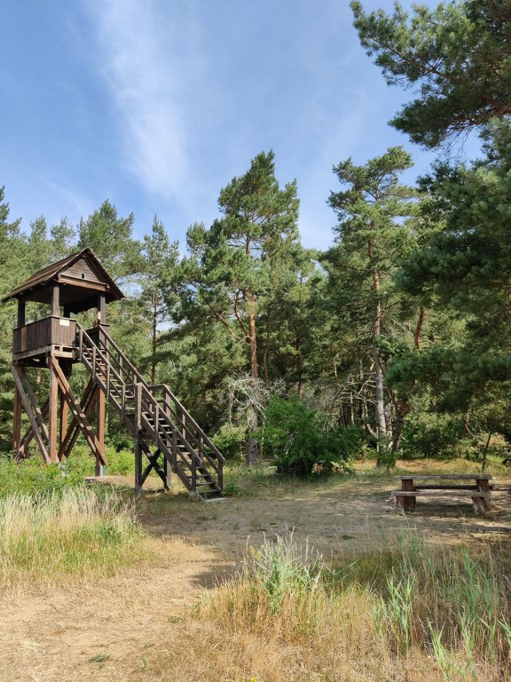 Aussichtsturm