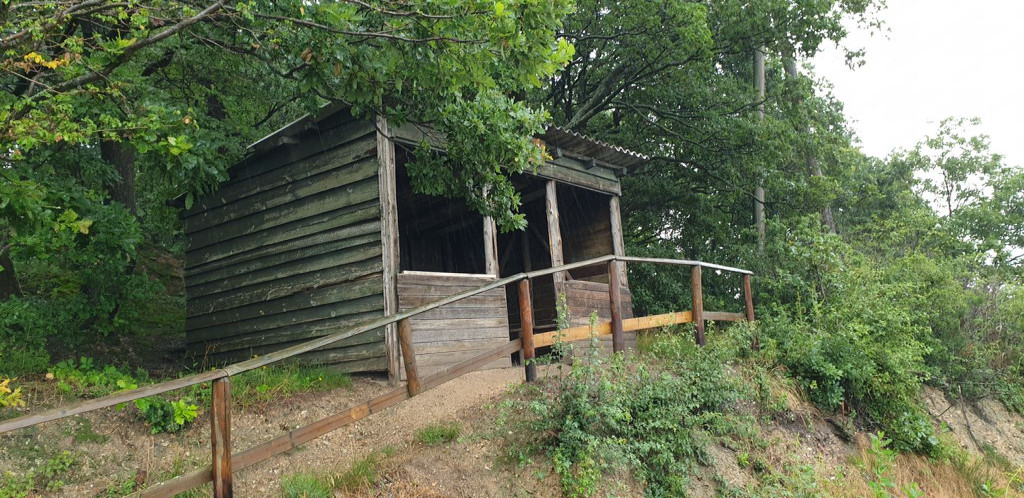 Shelter near Am Weiherberg