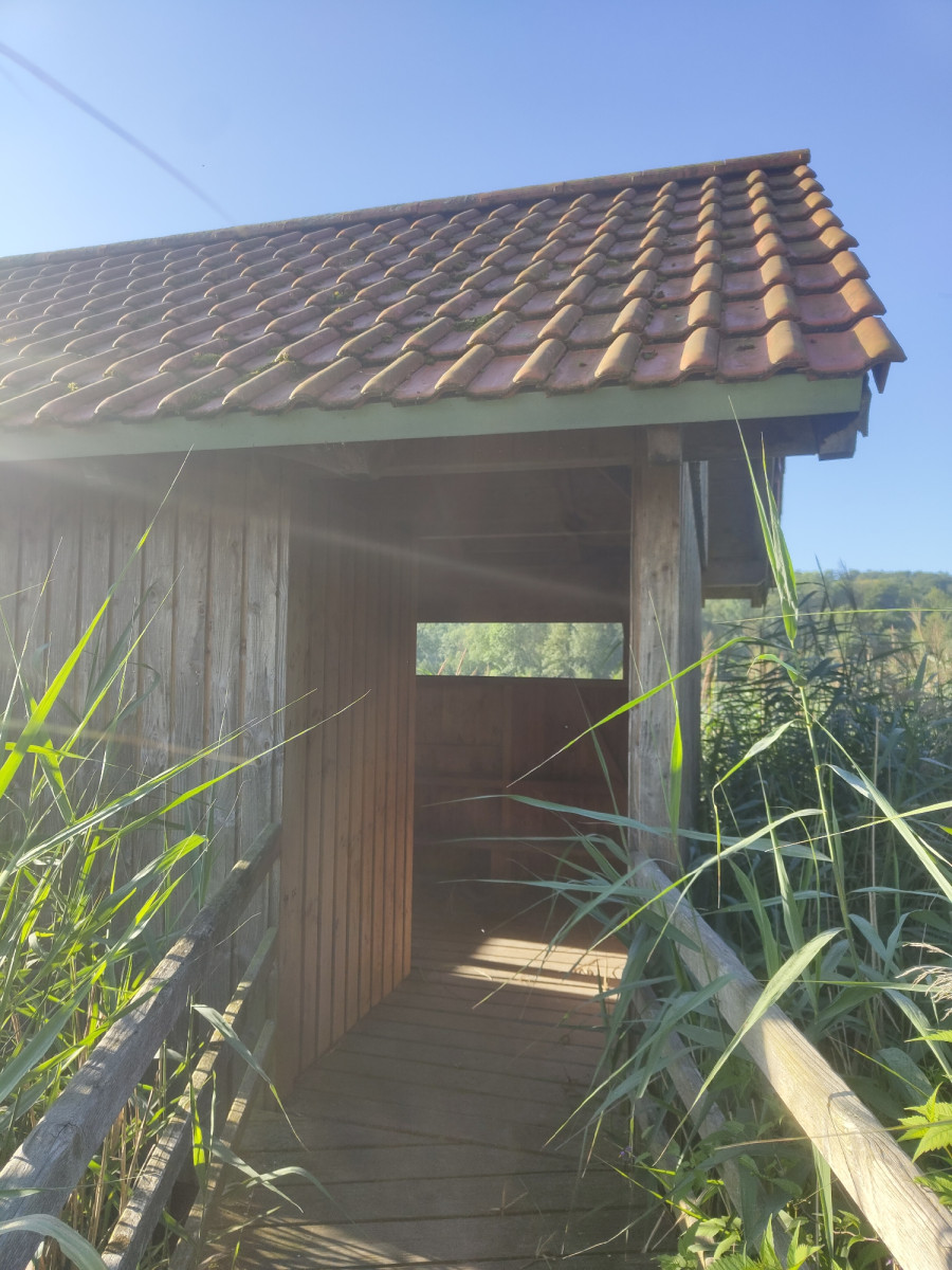 Bird observation hut